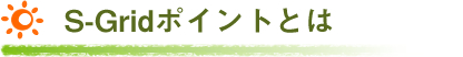 S-Gridポイントとは